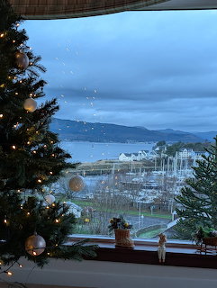 View of harbor and hills through window with Christmas tree and holiday lights
