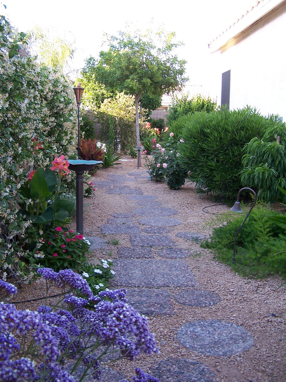 Gravel garden path lined with flowers, shrubs, and potted plants beside a white house