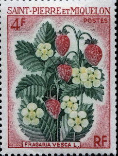 Vintage postage stamp with strawberries, green leaves, and white flowers