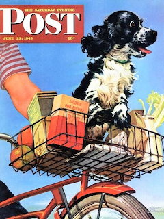 Black and white cocker spaniel dog sitting in a woven bicycle basket against blue sky with American flag visible