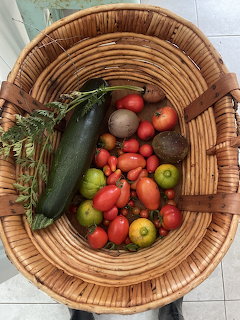 Fresh Garden Vegetables in Basket