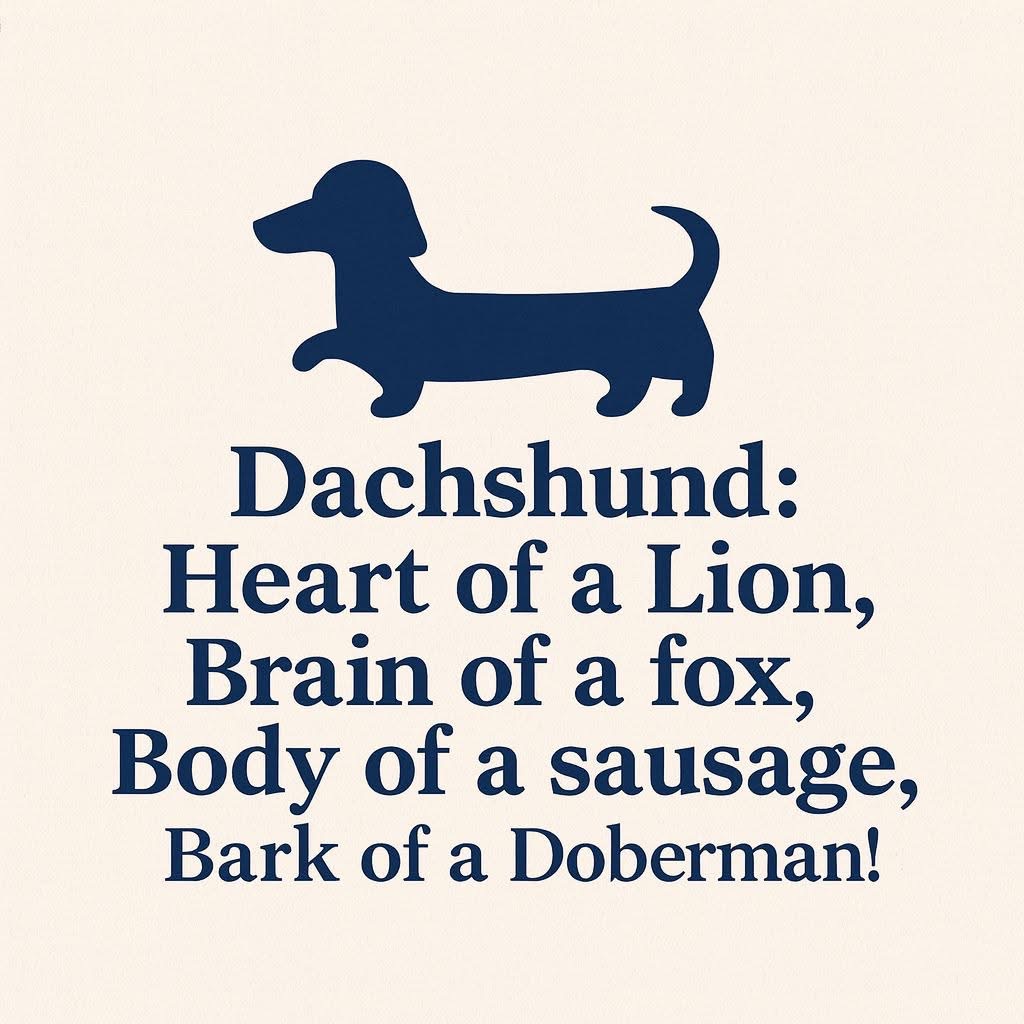 Dachshund Quote Graphic