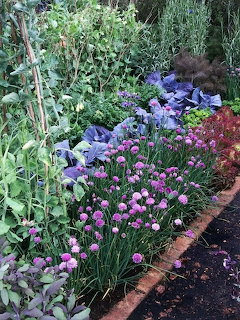 Garden border with pink chive flowers, purple cabbages, and mixed green plants along a brick edge