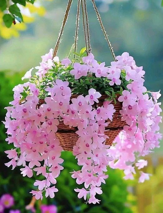 Two hanging baskets filled with cascading pink flowers in a garden setting