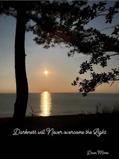 Sunset Through Trees