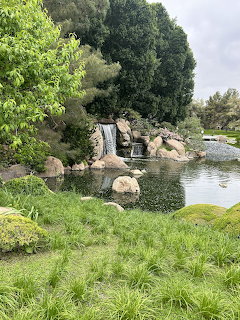 Water Garden Waterfall Pond