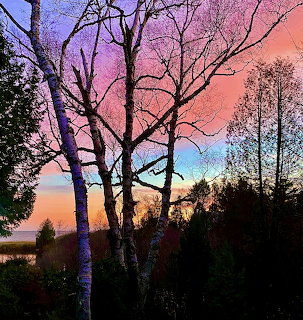 Sunset Through Trees