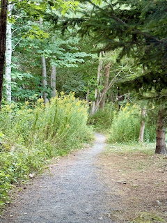 Walk in the Woods