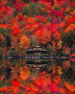 House surrounded by colorful autumn trees reflected in a calm lake