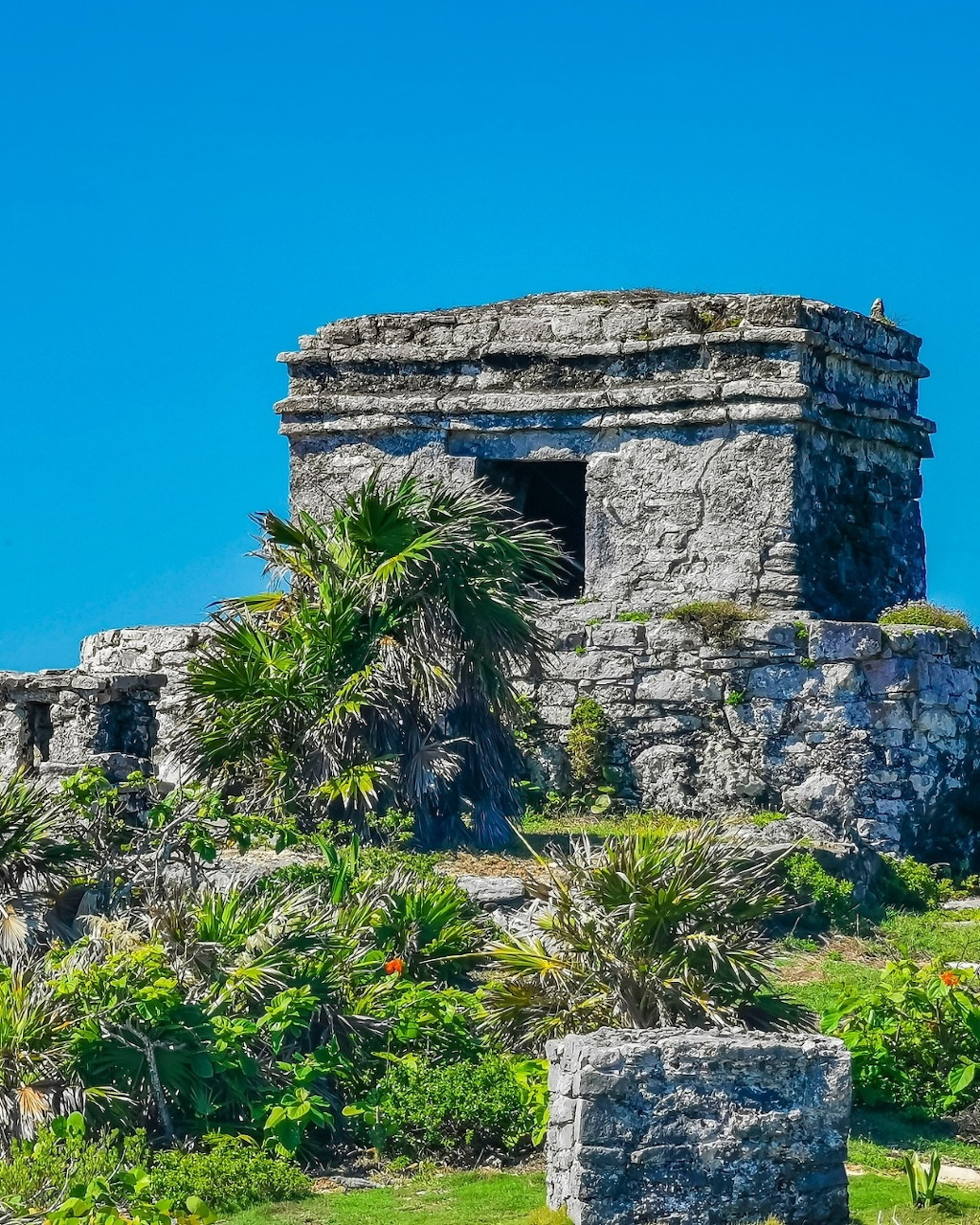Ancient Mayan stone temple at Tulum perched on a cliff with palm trees and bright blue sky