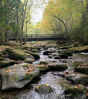 Rocky stream with moss-covered boulders flowing under a wooden bridge in a misty autumn forest