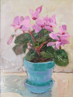 Pink Cyclamen Pot