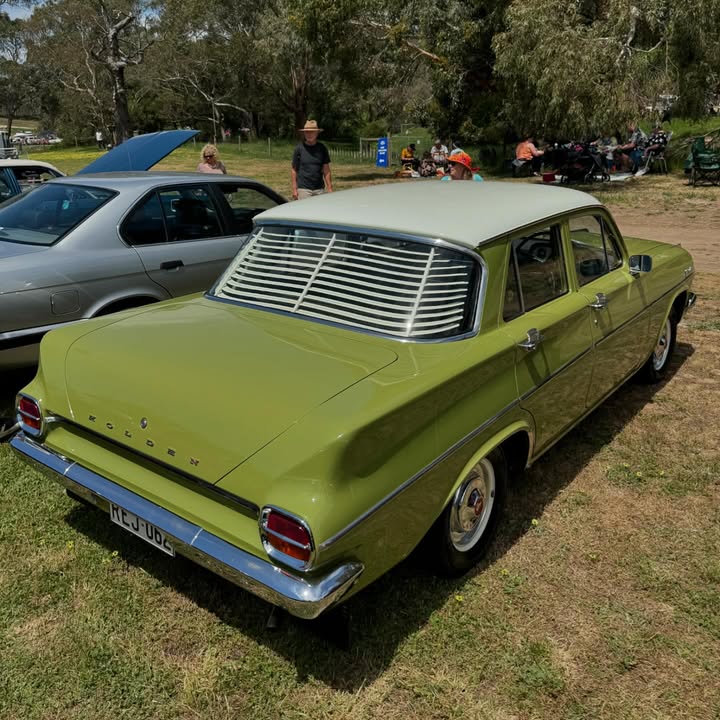 Rear view of a vintage green classic sedan parked on grass outdoors