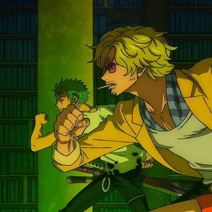 Zoro and Sanji One Piece
