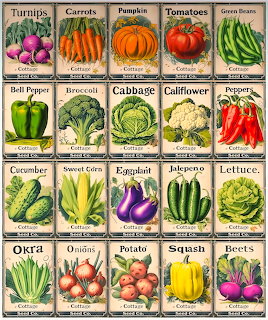 Vintage Vegetable Seed Packets