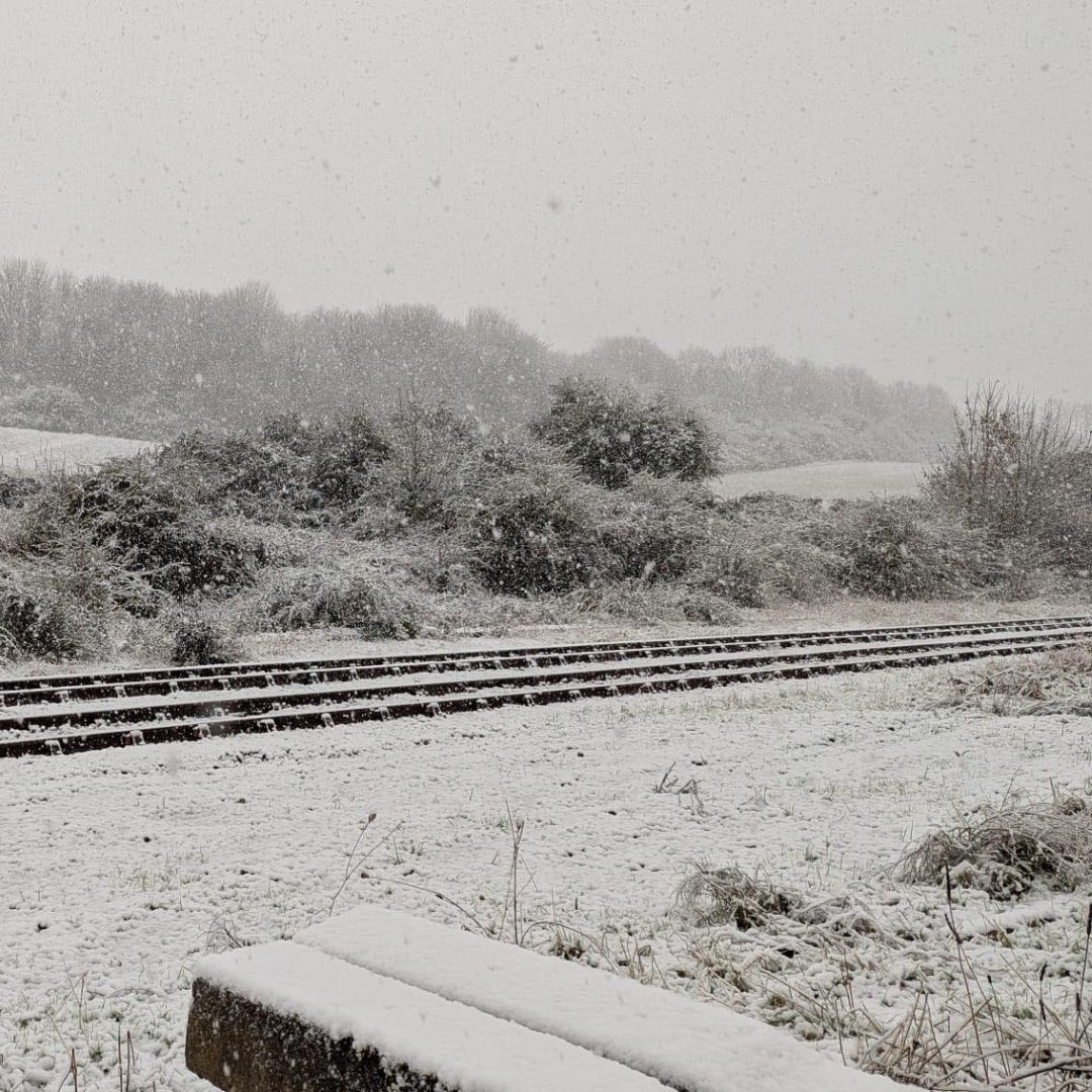 Snow-covered railway tracks beside frosted bushes and trees in a winter landscape