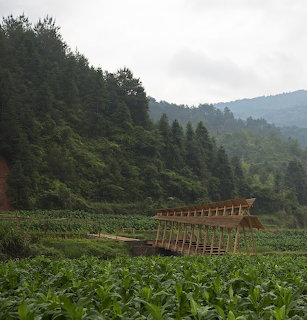 Wooden covered bridge in a green field with misty forested hills in the background