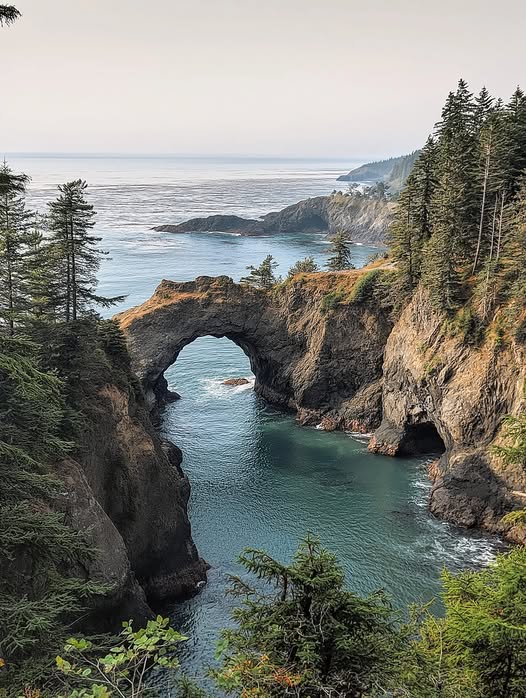 Natural rock arch bridge over turquoise ocean water with forested cliffs and cloudy sky