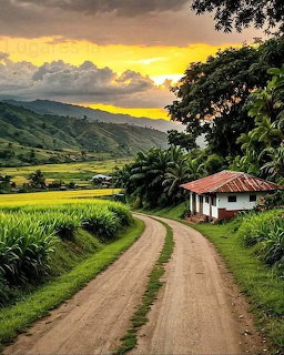 Tropical Village Dirt Road