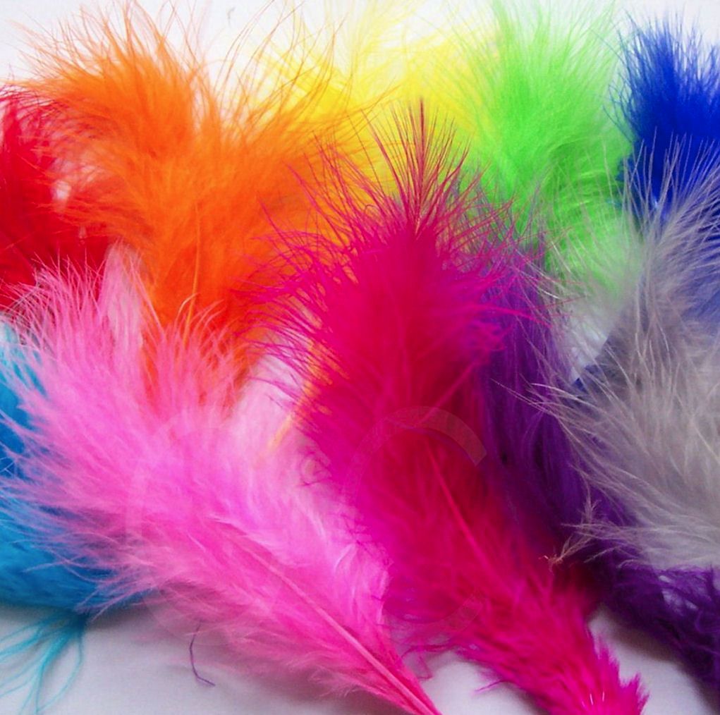 Cluster of bright colorful fluffy feathers in rainbow hues on white surface