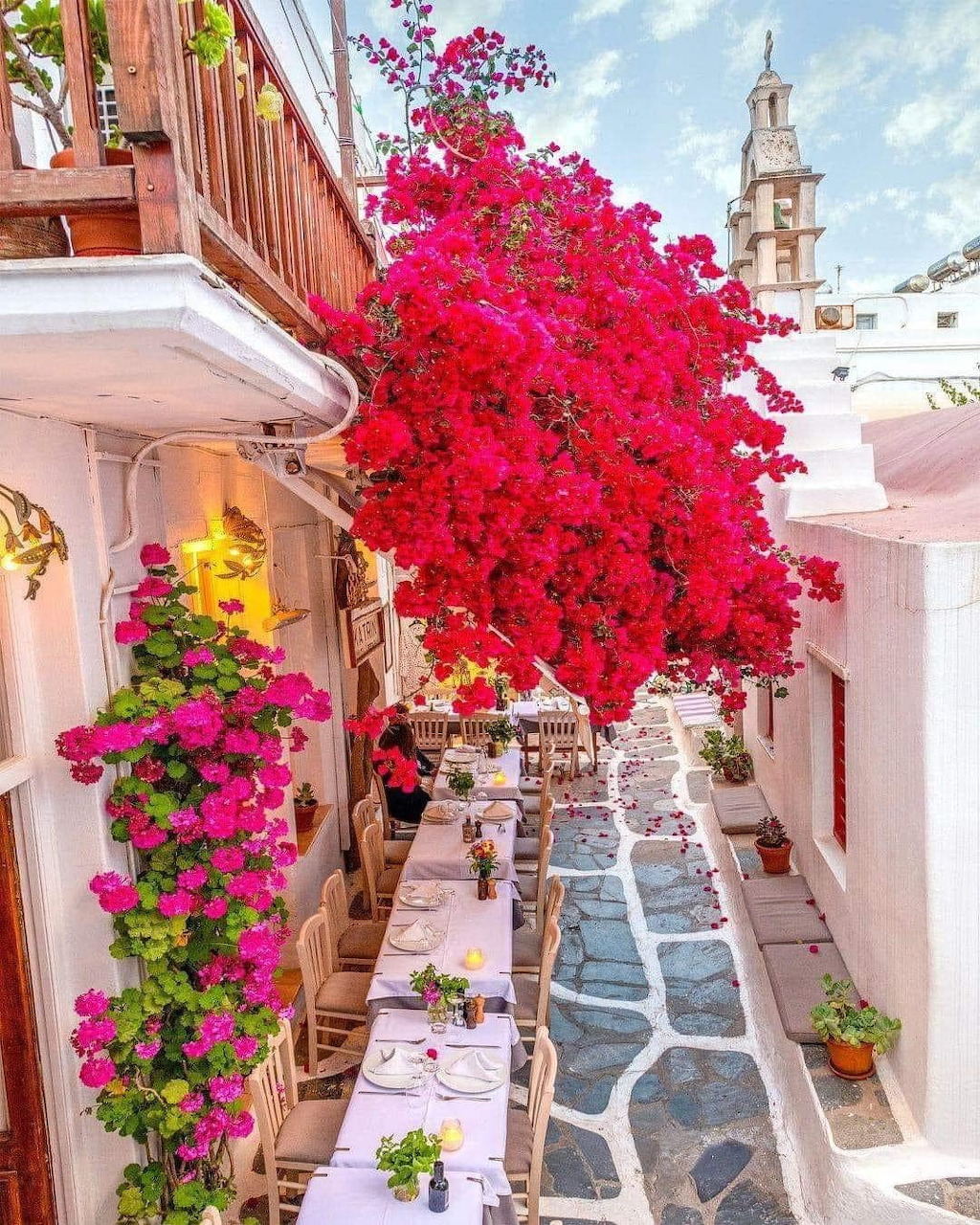 Narrow cobblestone alley in Mykonos with cascading pink bougainvillea and white buildings