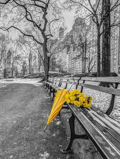 Yellow umbrella and flowers on a park bench in a black and white Central Park scene