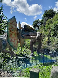 Colorful dilophosaurus dinosaur statue with open mouth and flared frill in an outdoor park