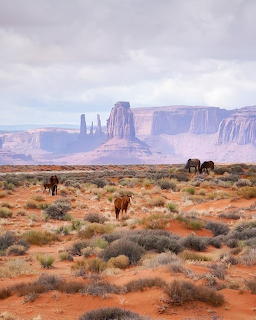 Three horses in a red desert plain with sandstone buttes and a cloudy sky in the background.