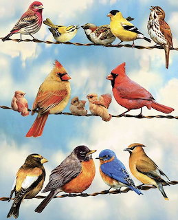 Colorful songbirds perched on three wires against a blue cloudy sky