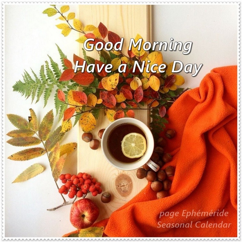 Flat lay of tea cup with lemon surrounded by autumn leaves, berries, and orange fabric