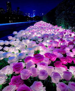 Pink and white glowing roses covering a walkway at night with distant city buildings