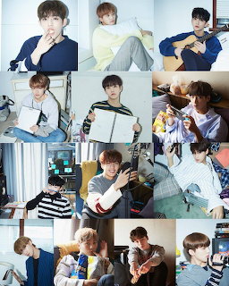 Collage of Seventeen K-pop group members in casual indoor poses across multiple photos