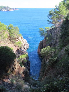 Rocky coastal cliffs with vegetation framing a narrow cove and blue ocean water