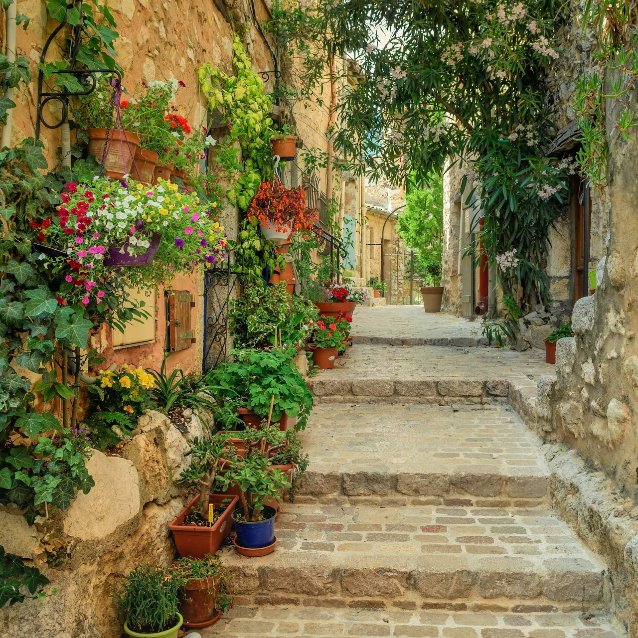 Sunlit cobblestone alley with potted flowers and climbing vines on old stone walls in a Provençal village