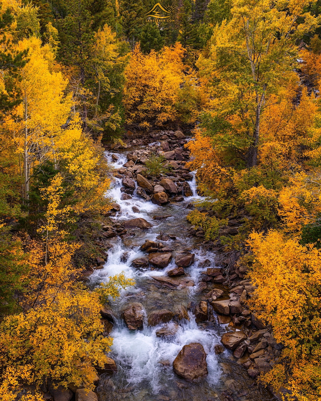 Colorado Fall Foliage Stream