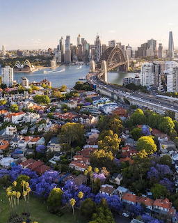 Sydney Harbour Skyline