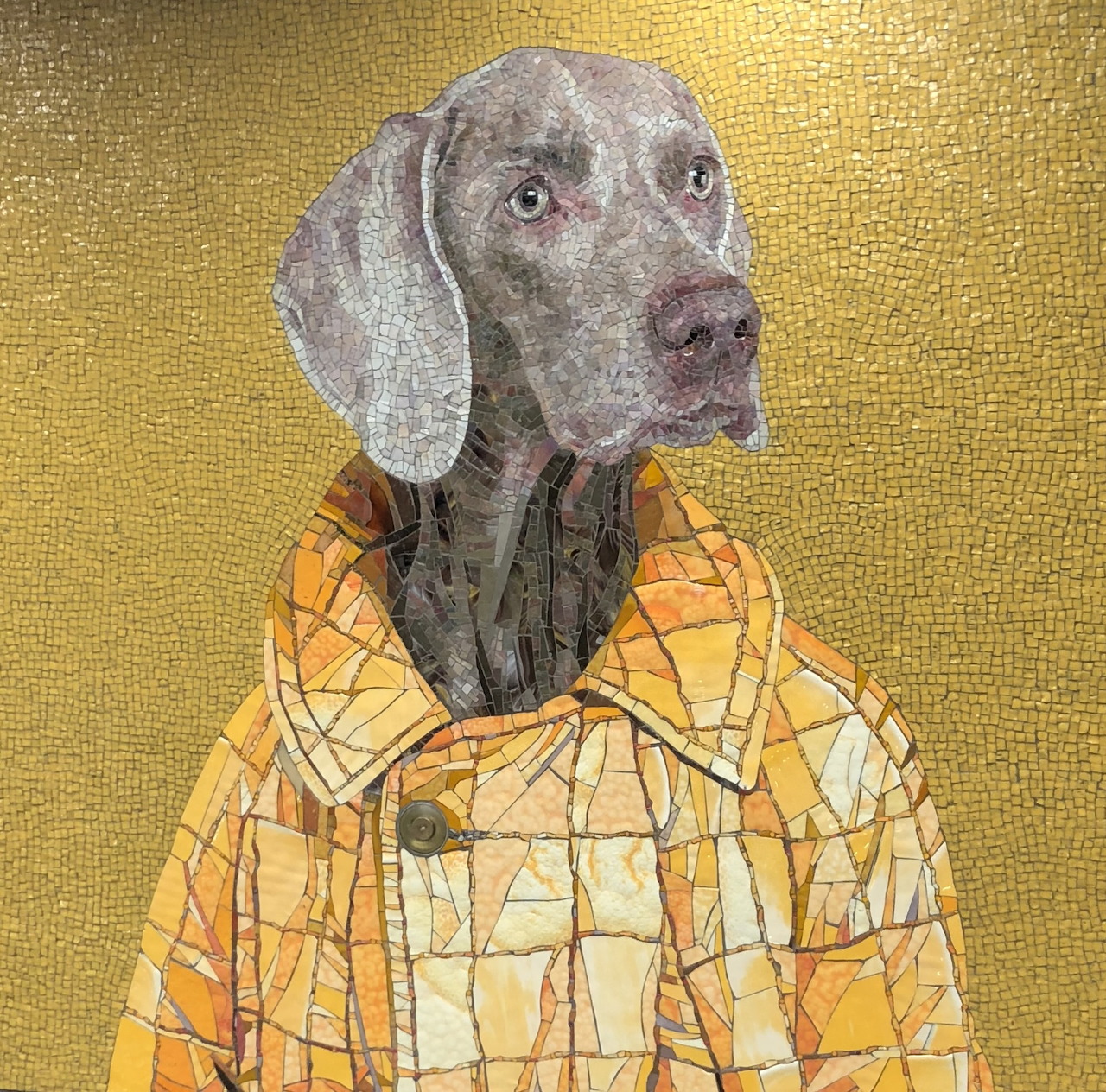Stylized gray dog wearing a yellow patterned coat on a golden background