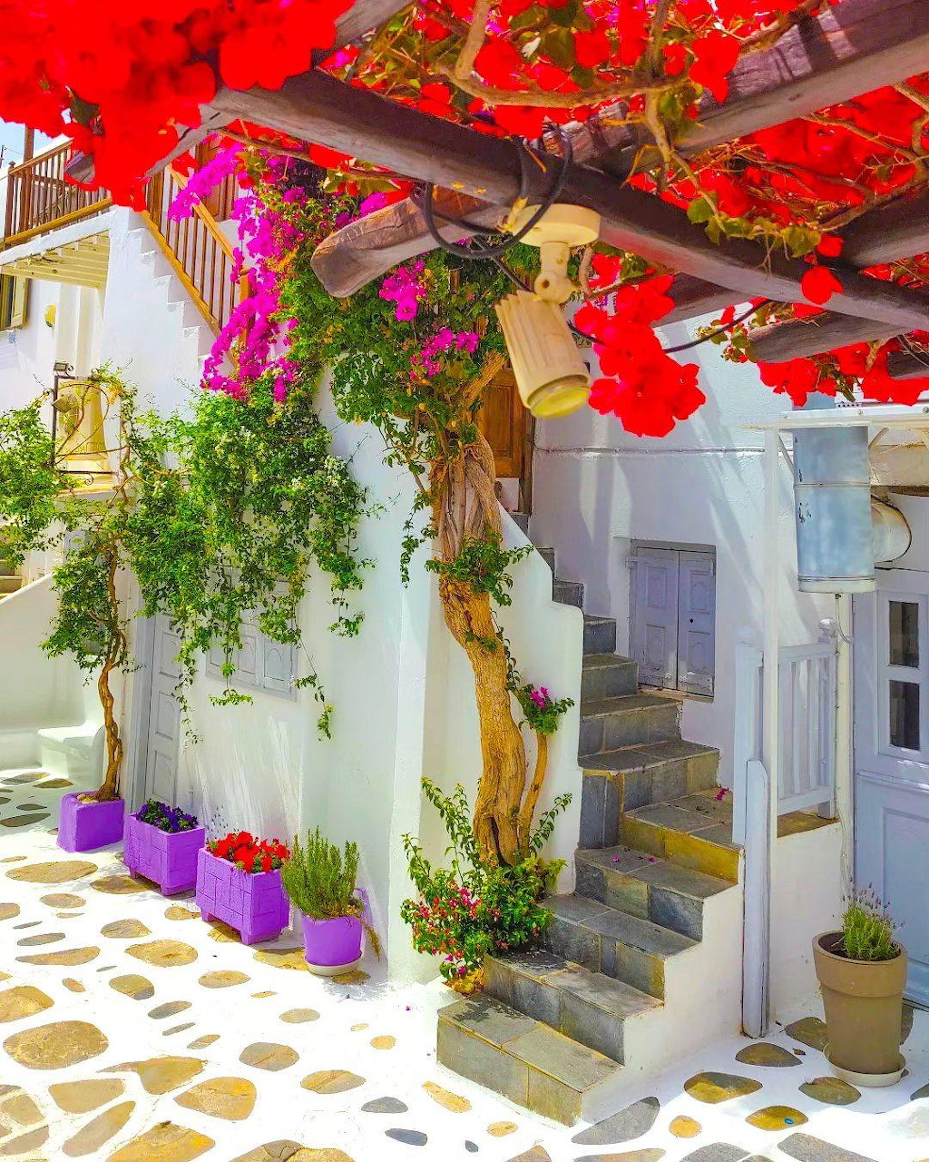 Bright Greek alley with white walls, red bougainvillea, stone steps, and potted plants