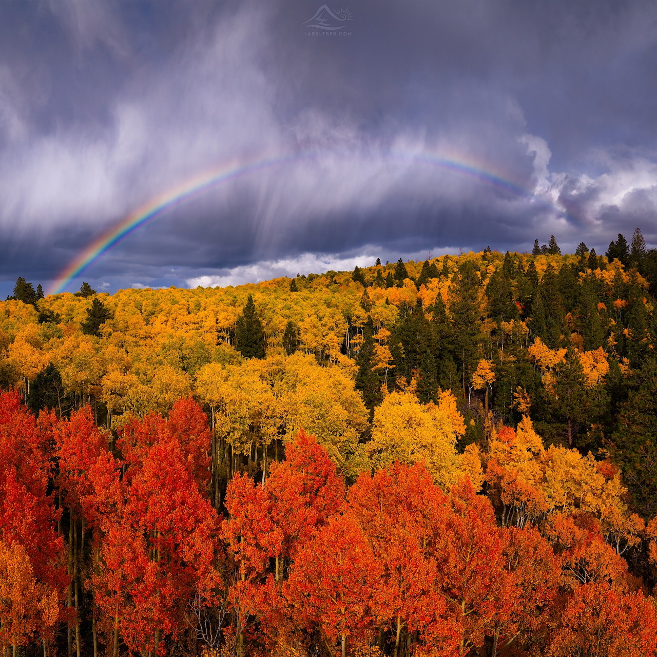 Autumn Forest Rainbow