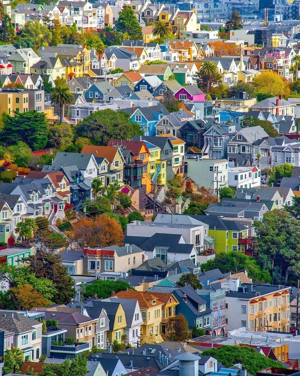 Colorful houses packed on a San Francisco hillside with trees and city buildings