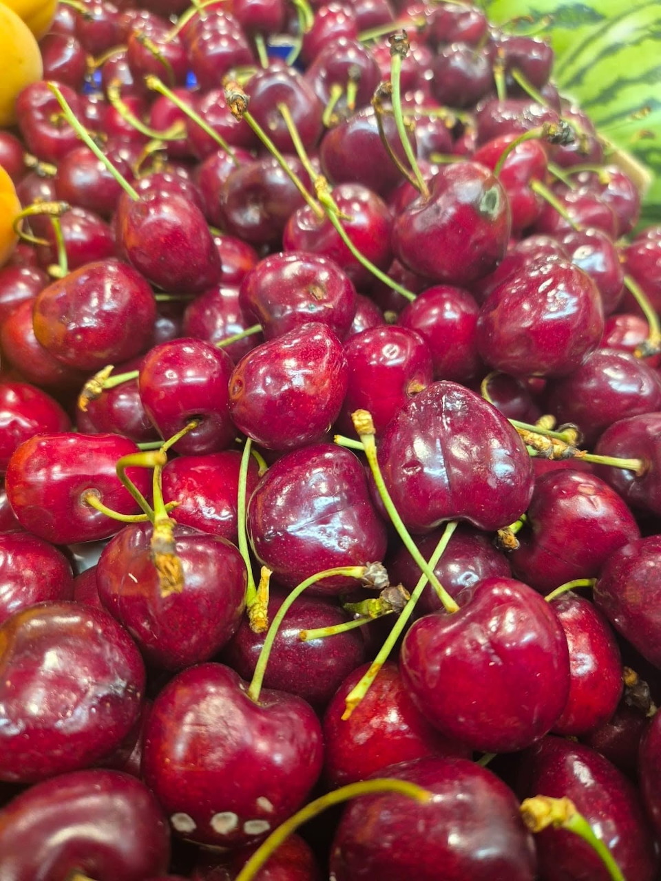 Pile of fresh ripe red cherries with green stems