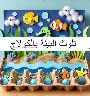 Ocean Environment Collage