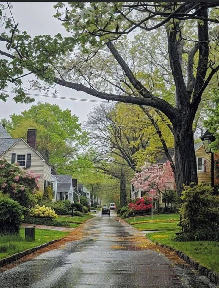 Rainy New England Street