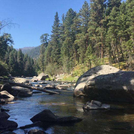 Mountain brook with large rocks, fallen logs, and pine trees under a clear blue sky