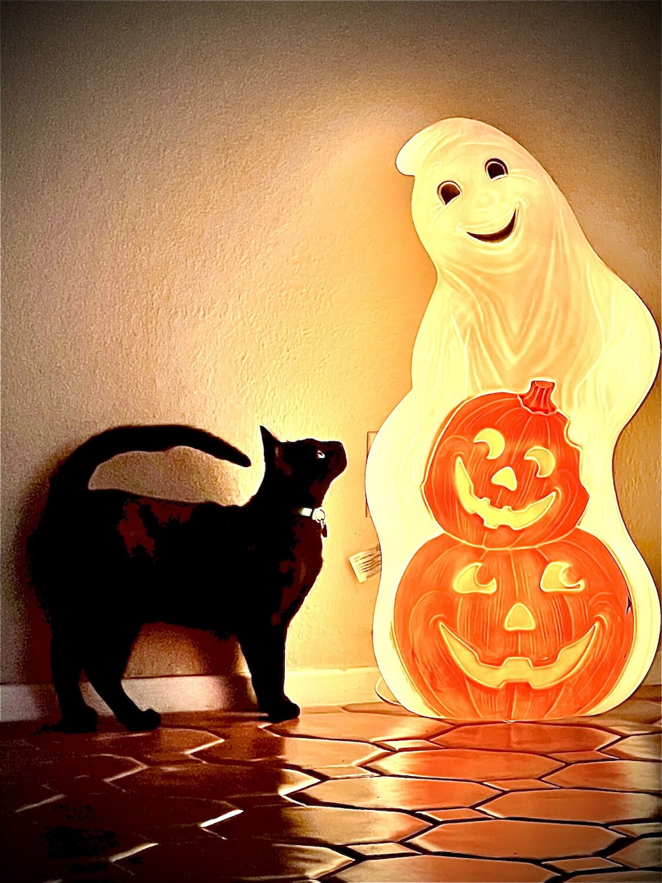 Black cat sitting beside a glowing ghost and pumpkin Halloween decoration