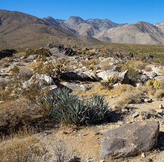 Desert Mountain Landscape