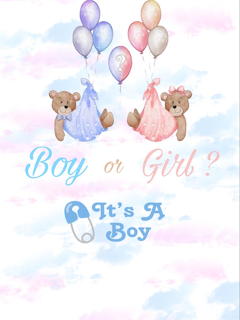 Two teddy bears with pastel balloons and 'It's A Boy' gender reveal text