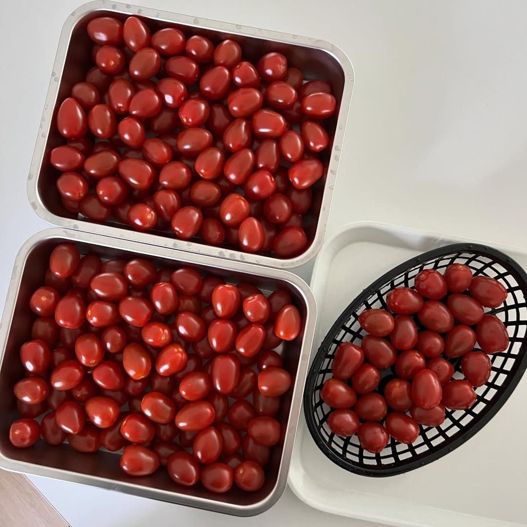 Cherry Tomatoes