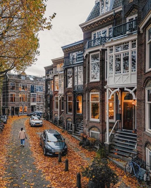 Utrecht Autumn Street