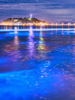 Blue bioluminescent waves glowing at night with illuminated coastal island and town lights in background